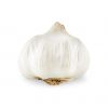 Bulk fresh garlic for food production and spice markets