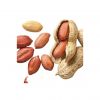 Peanut kernels for oil extraction and peanut butter production