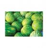 Large-sized watermelon...