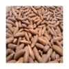 Pecan nuts for sale in...