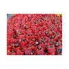 Fresh and flavorful red onions perfect for cooking and salads