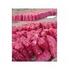 Fresh and flavorful red onions perfect for cooking and salads