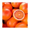 Fresh Oranges for sale in wholesale price