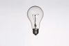 Incandescent Bulb 110v...