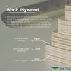 UV 5mm Baltic Birch Plywood CARB P2 High quality from Vietnam