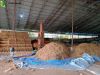 Best Selling Export of Coconut Fiber From Indonesia