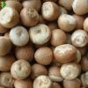 Wholesale Price of Indonesian Split Betel Nuts