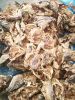 Stockfish