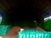 Palm Kernel Expeller