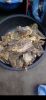 Egusi, ogbono,crayfish...