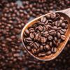 Robusta coffee bean