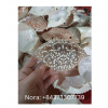 crab shell top quality...