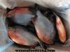 Frozen Red Pomfret  Pi...