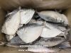 frozen moonfish