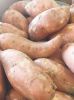 Sweet potatoes 