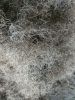 processed tire steel c...