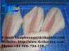 FROZEN PANGASIUS FILLE...