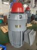 vertical hollow shaft motor