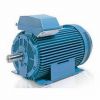 Explosion proof motor