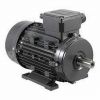 Explosion proof motor
