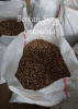 Cardamom