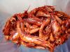 Dried Prawn