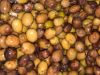 Specialty Arabica Coffee Beans
