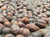Specialty Arabica Coffee Beans