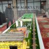 Intelligent agricultur...