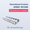 Recombinant Human IL-21 Protein