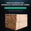 Wood board Pinus sylvestris var. mongolica wood building material .Ordering products can be contacted by mail.