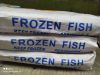 Frozen Makerel