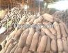 Yam tubers