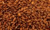 Cheap Almond Nuts / Al...