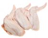 Halal Frozen Chicken Breast , Frozen Chicken Breast Skin, Box KOSHER Style Packaging Feature Weight