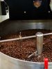 Gayo Arabica Roasted Coffee