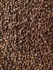 Lintong Arabica Roasted Coffee - Sumatra Roasted Coffee