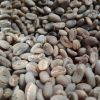 Sumatra Arabica Green Bean Coffee