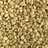 Sumatra Robusta Green Beans Coffee