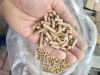 wood pellet