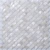 shell mosaic