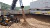 Viet Nam wood chips fo...