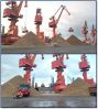 Viet Nam wood chips fo...