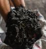 COCONUT SHELL CHARCOAL