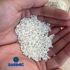 100% natural white sticky 10% broken Glutinous rice with high quality and best price manufactured from Vietnamese wholesales