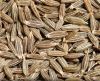 Cumin Seed