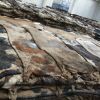 DRY AND WET SALTED DONKEY / HORSE HIDES / WET COW HIDES