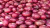 Fresh Onions