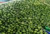 Green lemon Viet nam