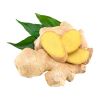 pure organic ginger ro...